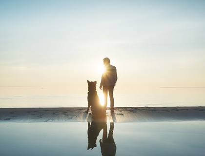 Is your security partner your weakest link?